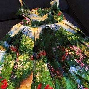 Brand new Bernie Dexter Pin Up Dress